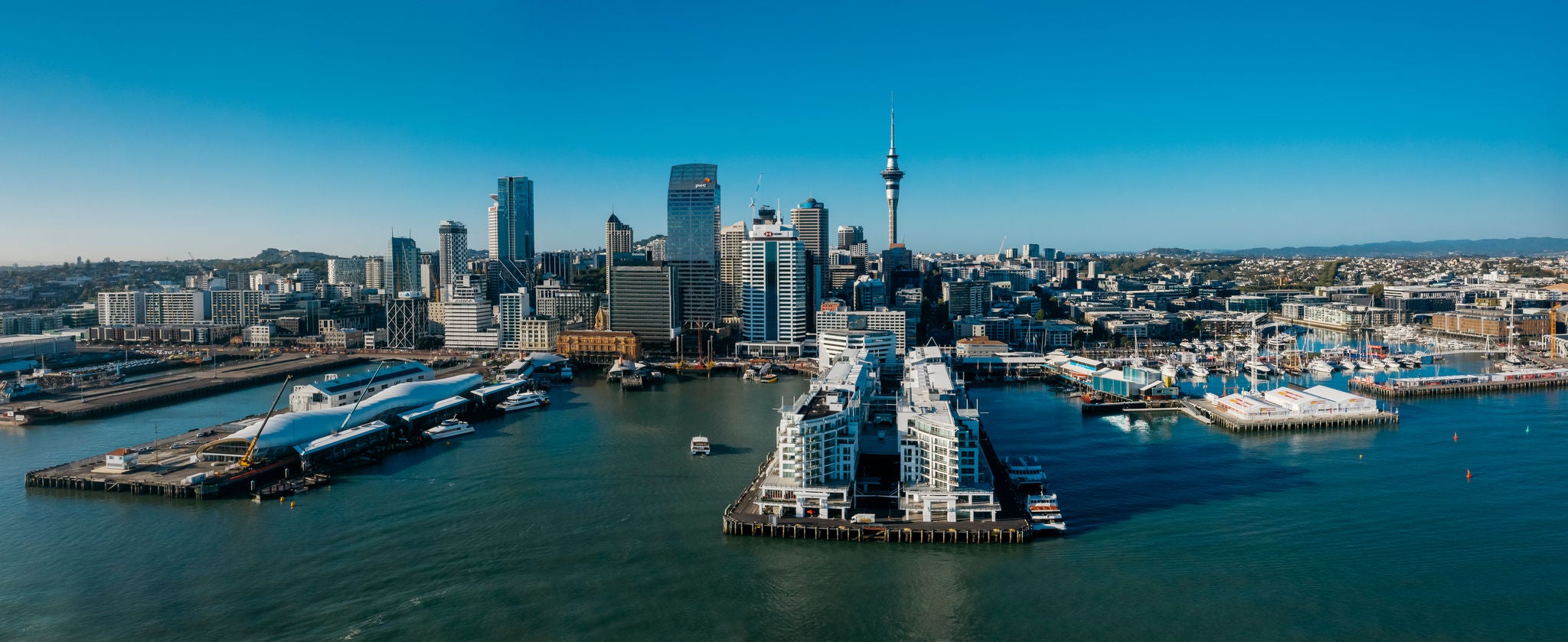 Auckland Future Fund appoints global investment manager 